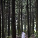 절물자연휴양림 이미지