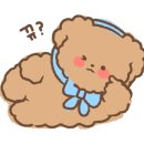 섬카페 좋은날