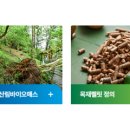 에코테크 이미지