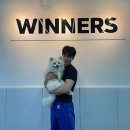 위너스유도 이미지