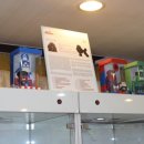 바우스토리 이미지