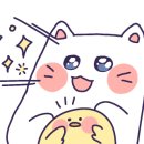 과일자라다