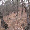 당곡천 이미지