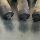 에이스디젤수리전문점 이미지