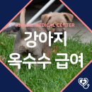 장현동물병원