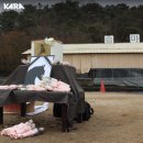 종국목장 네이버블로그