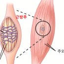 가로세로한의원 이미지