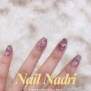 나드리 애견 이미지