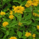 기린초등학교 이미지