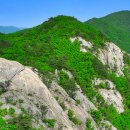 새재주유소 이미지