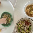 엄마밥줘 | 이유식일기[9-11개월] : 요린이엄마두 내 애기밥은 열심히 만든다 이거에요!