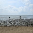 CU석모도 민머루점 | 서울 근교 여행 강화도 가볼만한곳 석모도 민머루 해수욕장 갯벌체험 물때 주차
