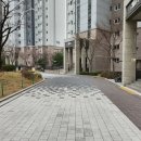 수원-1146 이미지