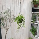 상남동279 이미지