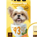 닥터독앤켓 이미지