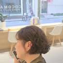 코코마르 네이버블로그