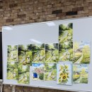 수채화(중급) 이미지