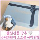푸른환경코리아 | 신생아 애착인형 슈테른탈러 에다 오르골 아기 인형 출산선물 후기