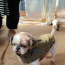 동동이의 우당탕 스쿨 입소에 함께하였습니다. 이미지