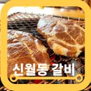 신월동갈비 은성가든 한돈양념갈비 솔직후기