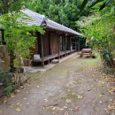 행정사사무소 해소 이미지