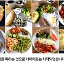 더월드건강나라