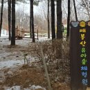 매봉산 유아숲체험원 이미지