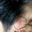 디오메디컬 이미지