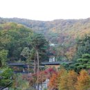 소나무리조트 이미지