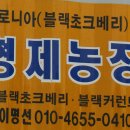 산중농원 이미지