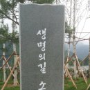 국내최장대도로터널인"인제.양양터널"과 내린천휴게소구경외 이미지