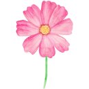 윈드크린 이미지