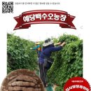 여주-0881 이미지