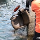 제주지방해양경찰청(해양경찰특공대)