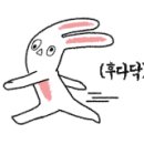 콩냥카페 이미지