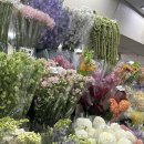 헬로샌디치 | 우당탕탕 찐친 브샤 해주기 - Day01 비글들아 행복하자