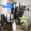 필라테스 | 대구중구필라테스 중앙로역 1분 키튼필라테스 1:1 체형교정 다녀온 후기