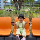 (주)더식탁 부산빛드림본부점 | 부산 아이와 갈 만한 무료 실내 놀이터, 감천 나누리파크