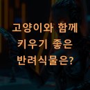 함께키우기 이미지