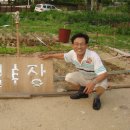 삼죽농장 Daum카페