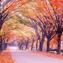 더할나위 이미지