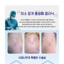 사과나무 동물병원 이미지