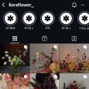 리오라플라워 이미지