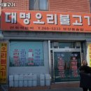 대명오리 이미지