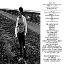 다비드 핏 이미지