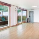 올랑고디또 이미지