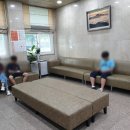 둔산성모정형외과 네이버블로그