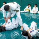 그레이시주짓수 - 종로구 종로 19 | 그레이시주짓수