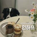 시원애견 | 돈암동 성신여대 느좋카페 수제 브레드푸딩맛집 인하프 애견동반 후기