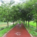 진안천물길 이미지